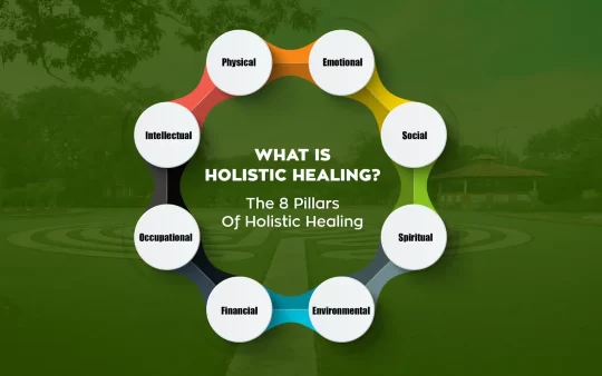 The Components of Holistic Wellness