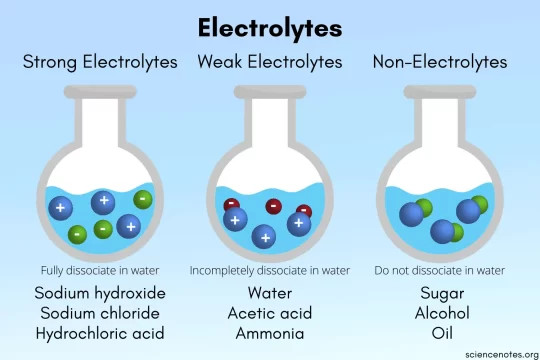 The Significance of Electrolytes