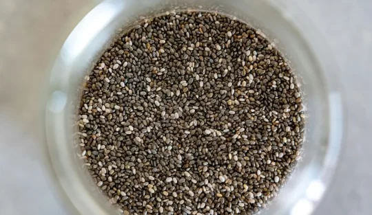 Foods That Are Underrated: Chia seeds