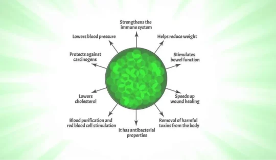 Advantages of Chlorophyll