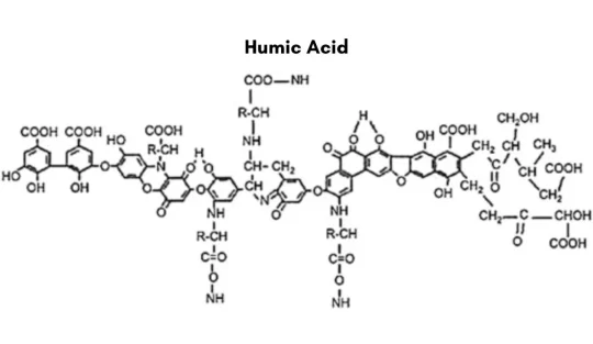 What is Humic