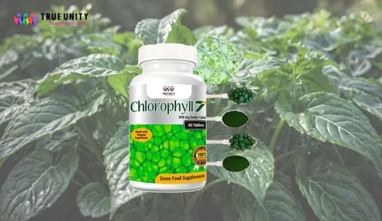 does chlorophyll really work: Chlorophyll in Nature